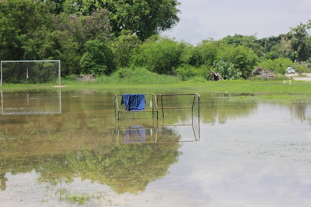 变化和能源 变化和能源