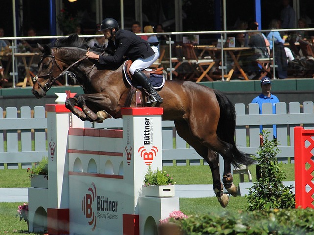 不仅让对手 不仅让对手