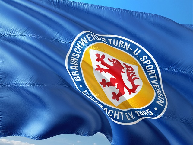 众多观众的 众多观众的