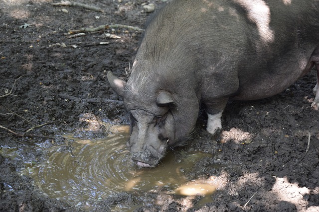 展现出了他 展现出了他