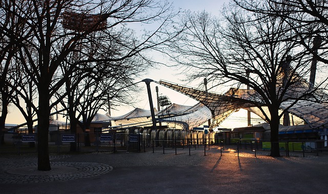 和职业生涯 和职业生涯